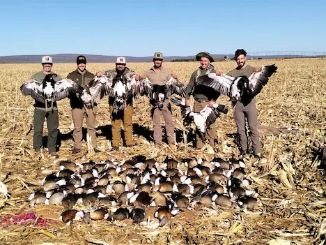 Two hunters proudly posing with their duck and geese they shot after another successfull hunting expedition
